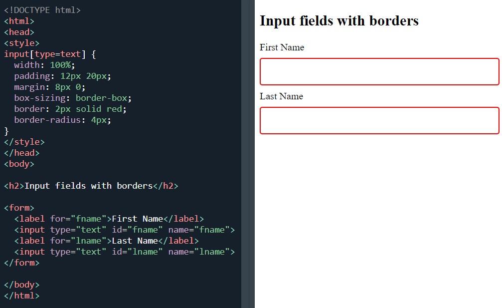 Form input fields with border