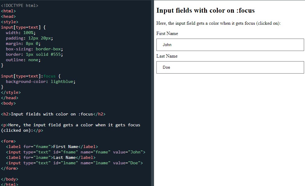 Form input fields