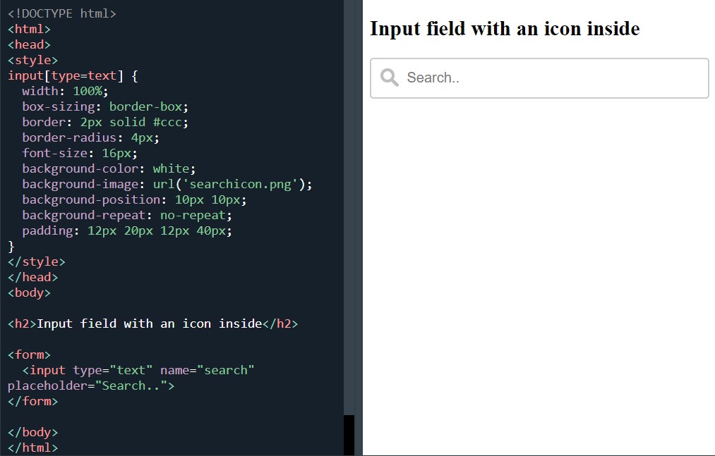 Input field with icon