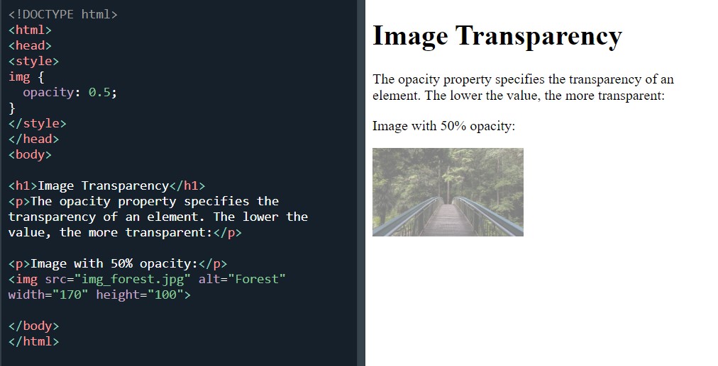 Image with opacity CSS