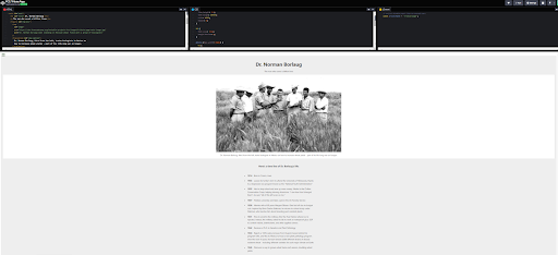 The tribute page on CodePen