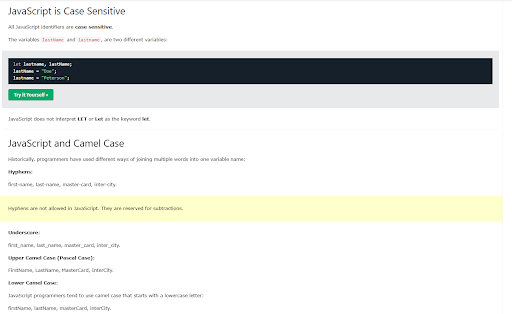 JavaScript case sensitive and camel case